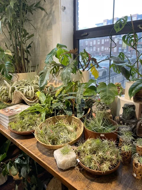 Worcester's Amazing Plant Shop