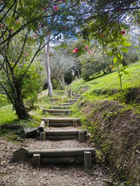 Medellín: My Happy Home in South America