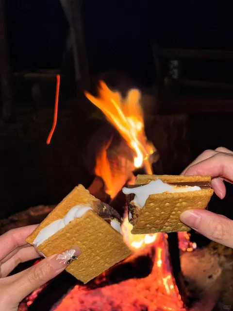 Tacoma Indian Cuisine, Japanese Food & Cozy Cabin Stay