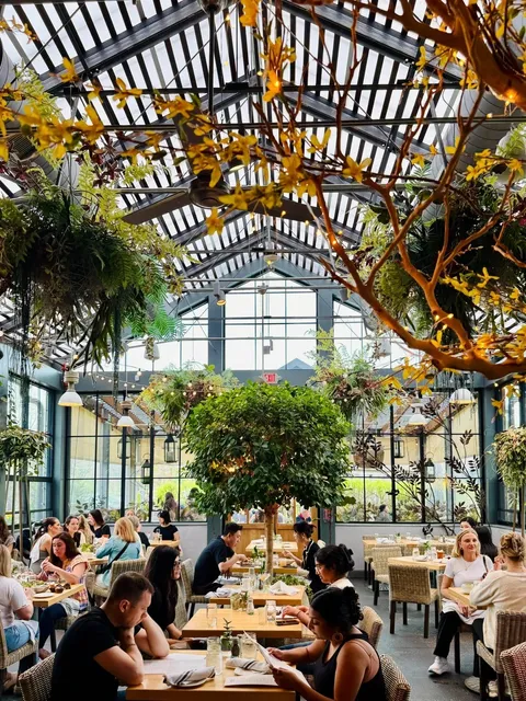 A Super Healing Garden Restaurant in the Philadelphia Suburbs! 🍃