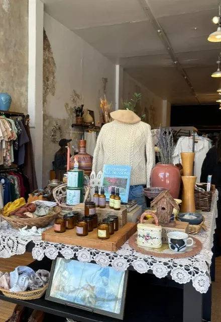 🌾🍂 Moth Oddities | Minneapolis 🧵🛋️