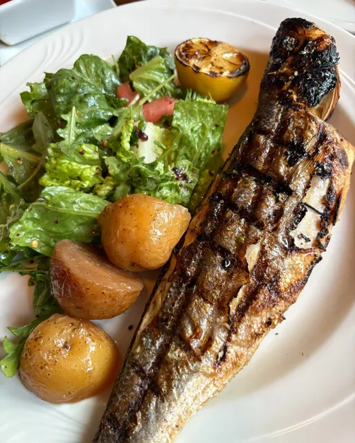 Delicious Greek Cuisine in Albany