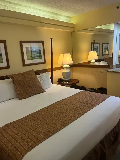 No Deposit Needed to Book! 🌟