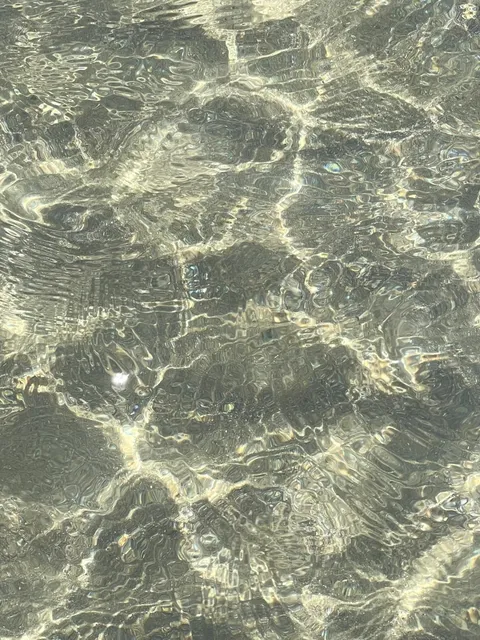 Discovering the Seaside Town Near Rome: Nettuno 🐬