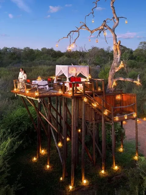 The whales of Hermanus