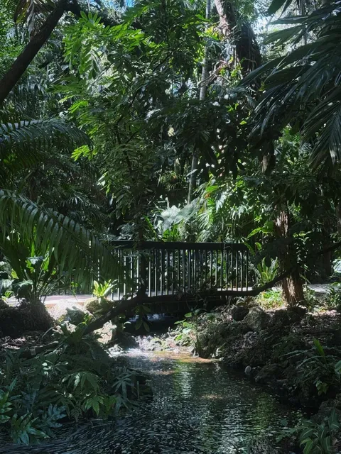 🇺🇸 Miami Botanical Garden - A Perfect Destination for Plant Lovers! 