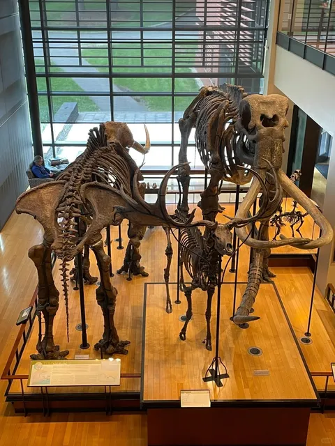 🦕 Hidden Gem in Western MA | Dinosaur Paradise at Beneski Museum!  