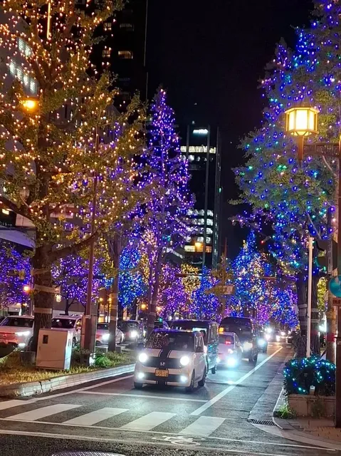 🛏️ Affordable and Comfortable Stays in Osaka! 🌸🌺