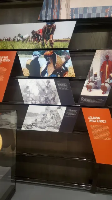 Celebrating African American History 🎉🖼️