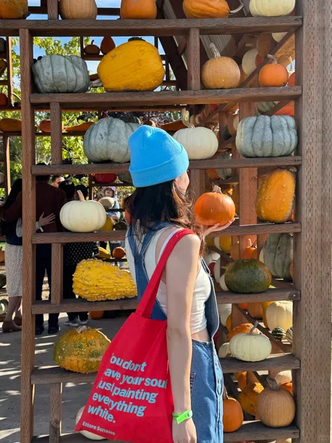 Visited the Seattle Disney (Farmhouse Edition)