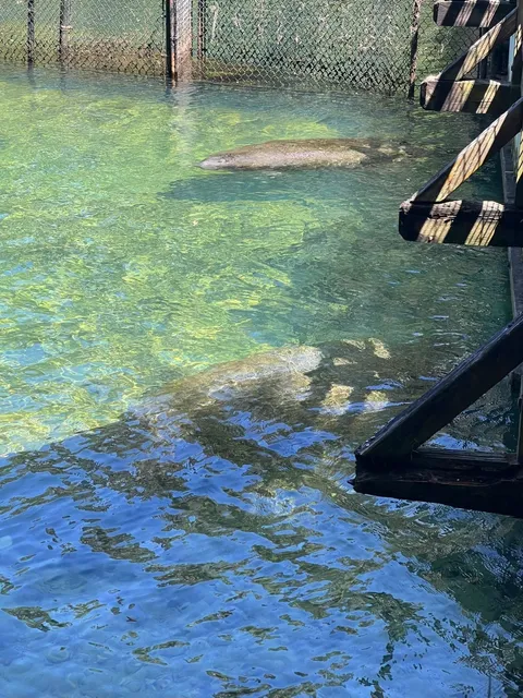 Tampa is Absolutely Amazing! 🌴🎉