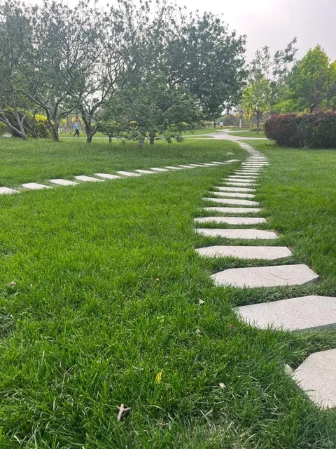 🌴🌵 Friendship Park: A Renewed Urban Oasis! 