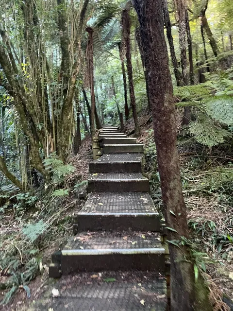 The Perfect Beginner-Friendly Hike Near Hamilton 🌿🥾