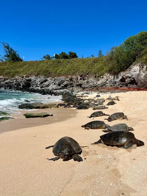 Maui Six-Day Slow-Mo Guide