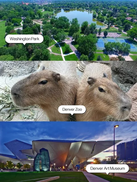 Denver Downtown Must-Visit Spots (No Car Needed!) ！！🚶♀️🏙️