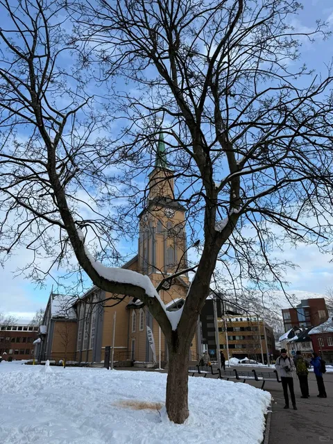 🇳🇴 Tromsø Solo Trip: 3 Days of Arctic Magic