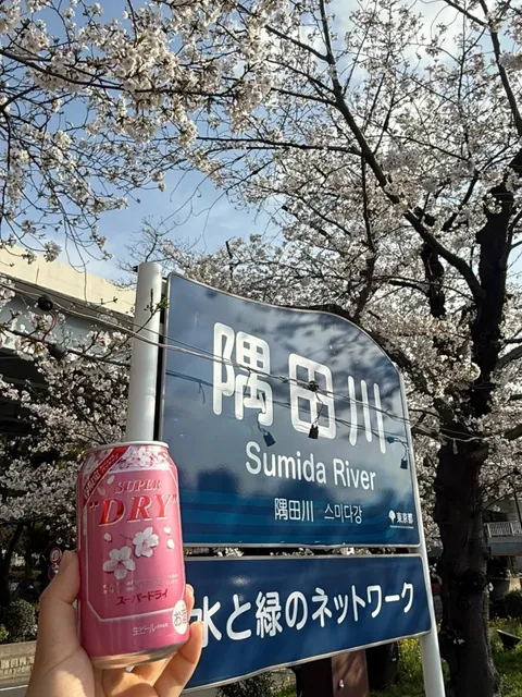 Tokyo Cherry Blossom Itinerary (1)🌸