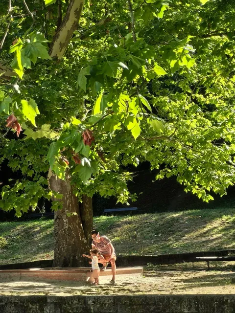 Tatabánya: A Perfect Spot for a Dog Walk, Family Time, and Sunbathing