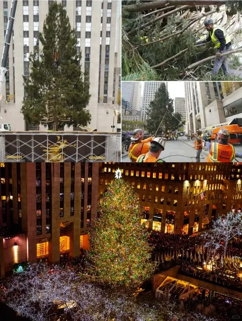 NYC’s Most Beautiful Christmas Tree 🎄 2025 Lighting Ceremony Guide 🔥