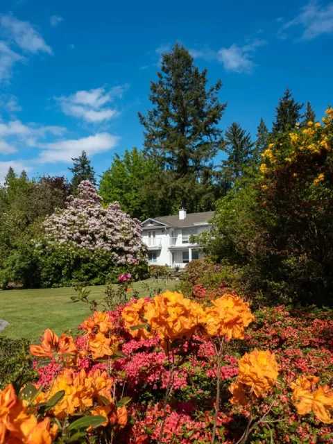 Discover Canada's Hidden Gems You Can't Miss! 🇨🇦✨