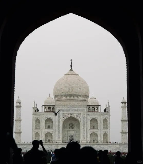 ✨ Agra's Golden Triangle Highlights ✨