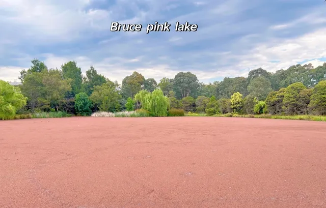 A day trip to Canberra