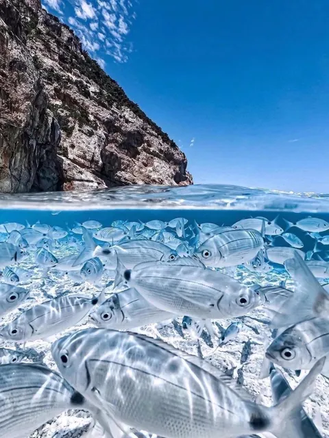 🏝️ "Italy's Ancient Island 🇮🇹 One of the World's Most Beautiful Diving Destinations 🌊