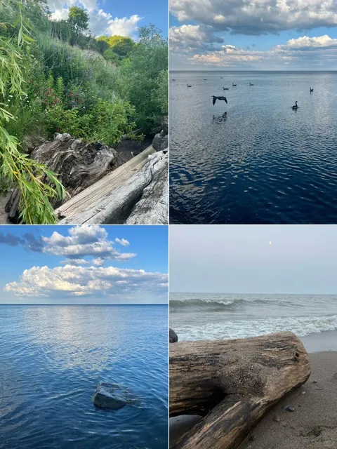 Toronto's Hidden Escape | East Point Park - Urban Wilderness Magic 🌿