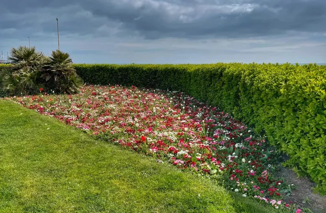 Escape from London | Discovering the Tri-Colour Bay in Hastings 🚆🌊