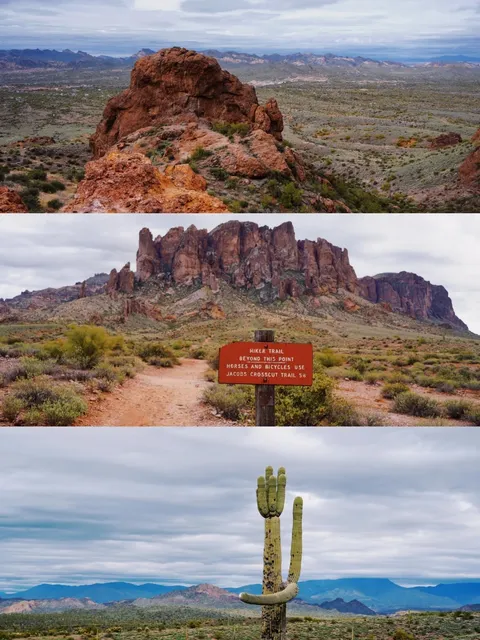 Phoenix | Treasure Hunt Adventure 🏴‍☠️