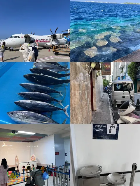 Airport Layover Guide