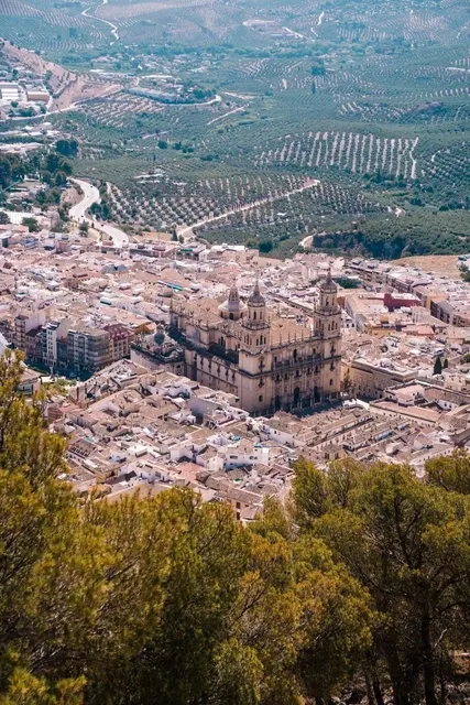 🇪🇸 Spain Day 5: Jaén - Where History Meets Olive Groves