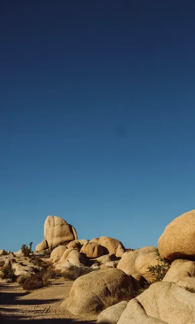 Joshua Tree & Palm Springs | 2-Day Desert Adventure Itinerary 🌵✨  