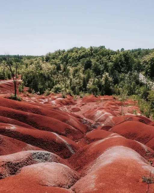 🇨🇦 Toronto's 1-Hour Express Trip to Mars! 🚀