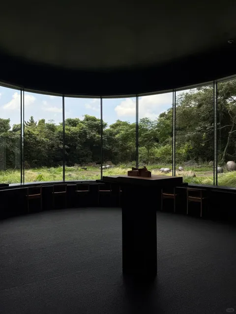 Jeju West Coast Day Trip | Coastal & Art Route Guide ⭐