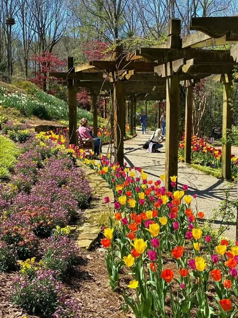 Who hasn’t gotten the vibe of spring in Atlanta yet?😍