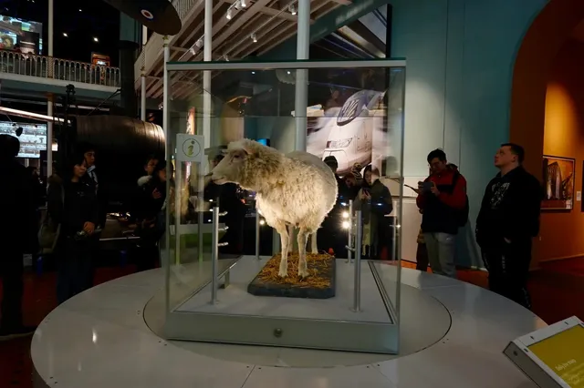 Finally understood why everyone is recommending the museums 🏰