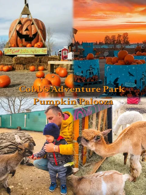 Calgary Halloween  guide