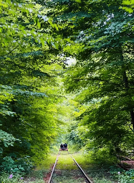 New York and New Jersey Surroundings 