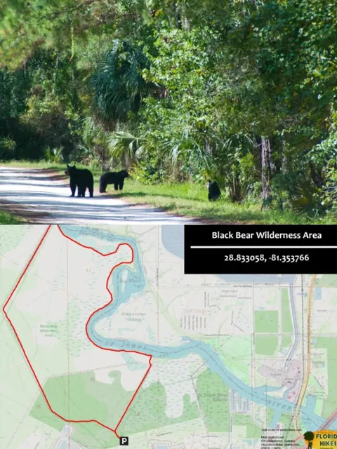 🌿 Orlando Hidden Gems: 5 Photogenic Spots You Can’t Miss! 📸