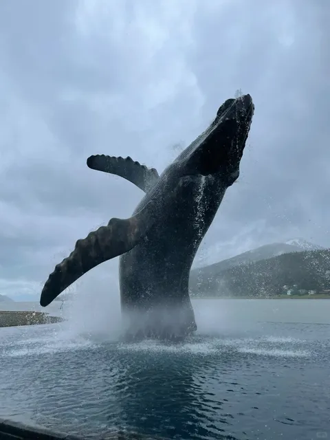 Juneau, Alaska: The Ultimate Travel Guide 🚢