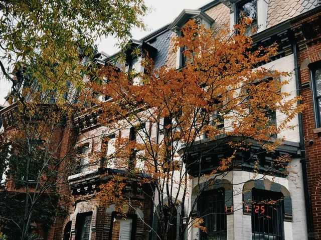 DC｜Dupont Circle – Monsoon Books: A Chinese Literary Haven Across