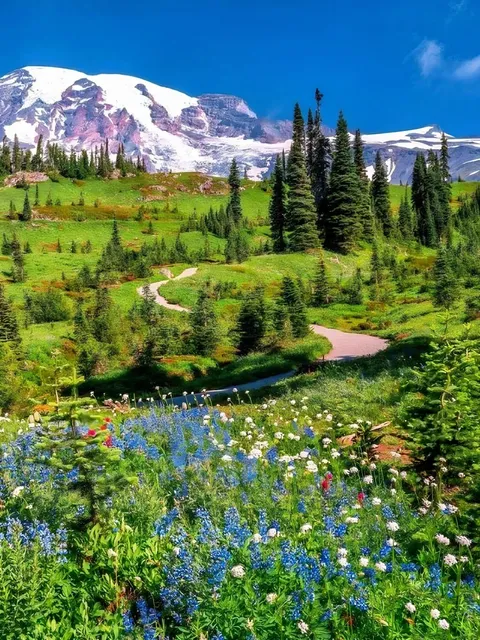 Rainier is Seattle’s Little Switzerland