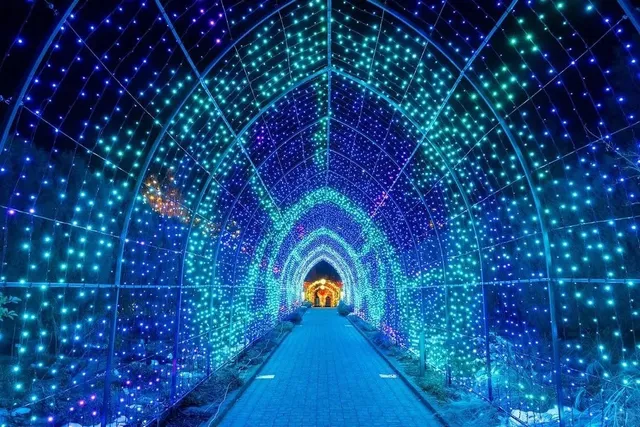 A Must-See Winter Lights Show at Denver Botanic Gardens