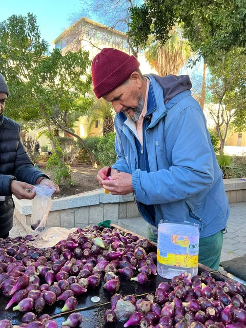 🇲🇦 7-Day Morocco Trip: Fes Edition