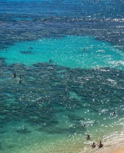 Snorkeling at Hanauma Bay: Hawaii’s Underwater Paradise 🐠🌊