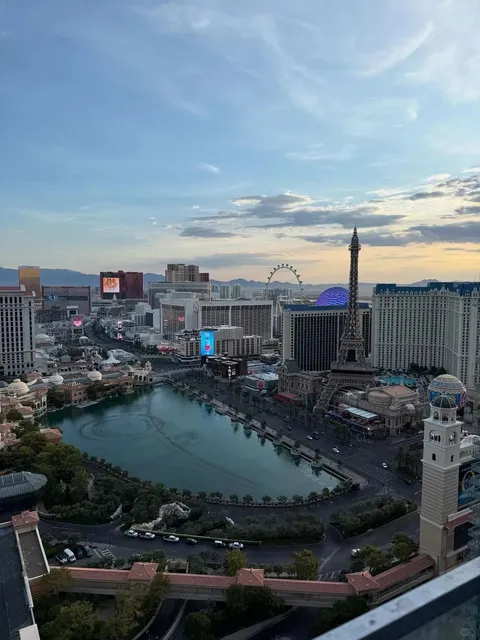 I've stayed at many hotels , but The Cosmopolitan still blew me away! 