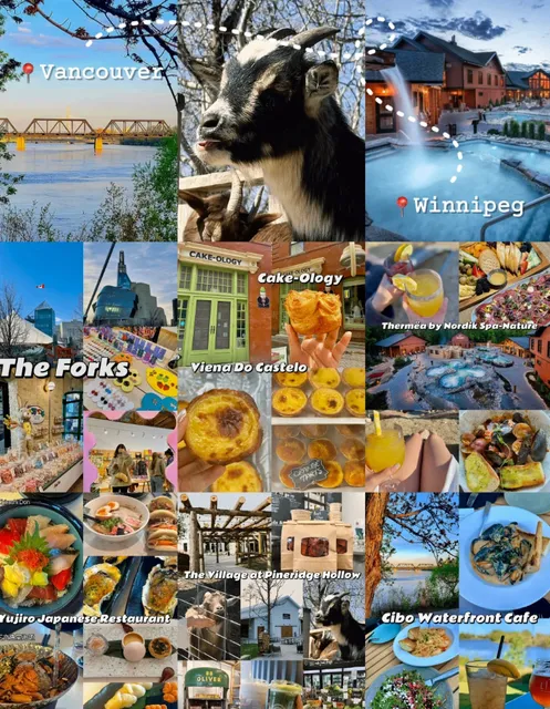 ✈️ Winnipeg Must-Do List: Eat & Explore Before You Leave!