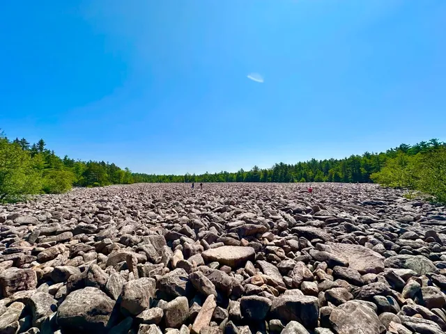 Hickory Run Boulder Field | Pennsylvania’s Alien Landscape 🌍🪨  