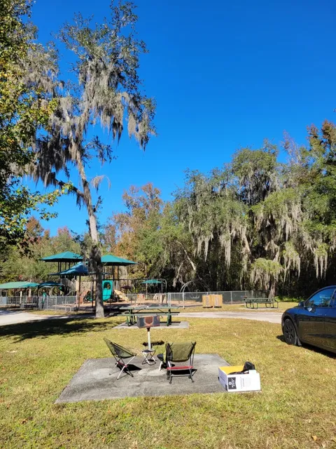 American-Style Park Picnic